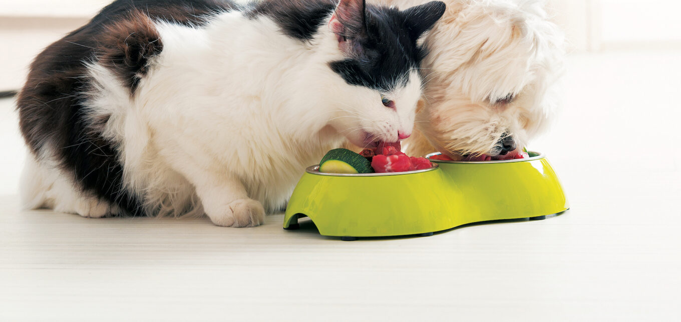 How to Read Pet Food Labels – Mother Earth News - Vimarsana News